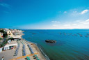 Ischia Barche