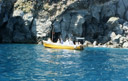 Ischia Barche