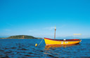 Ischia Barche
